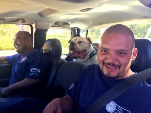 Two Men in the Car With a Dog