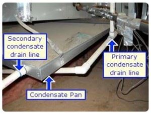 condensate-solutions